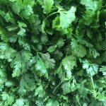 How to purify the blood and break the belly with parsley